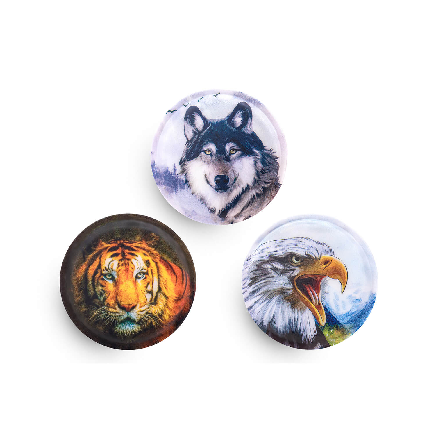 Patch set od 3 komada Wolf